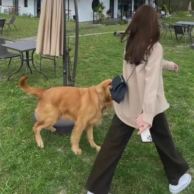 科洛